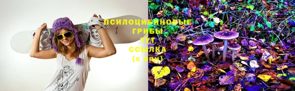 дмт Балабаново