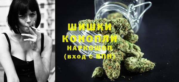 дживик Нягань