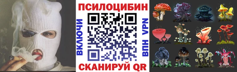 мега зеркало  Кизел  Галлюциногенные грибы ЛСД 